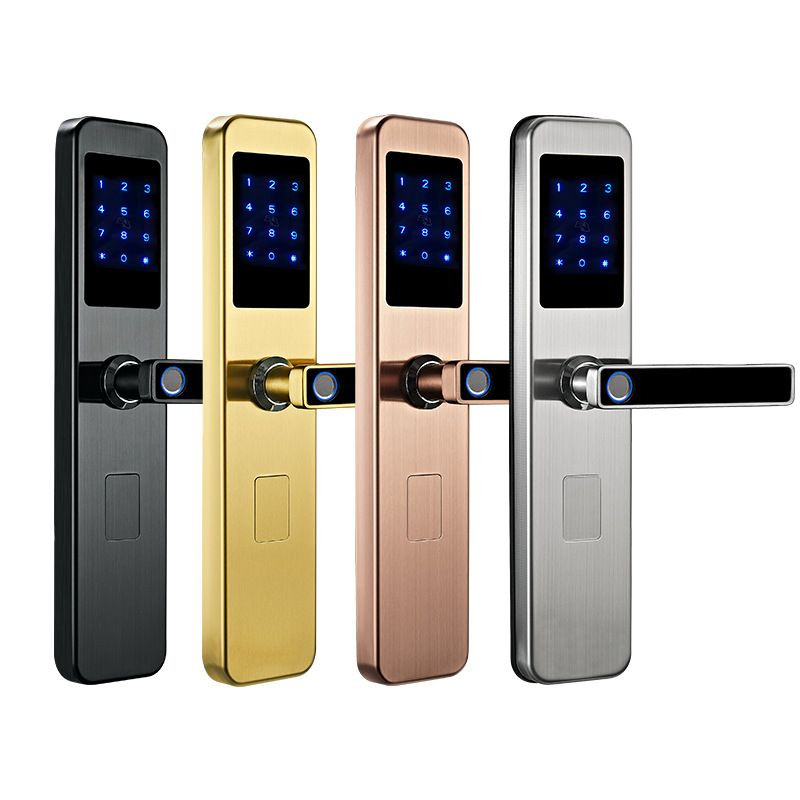 Facial Recognition Smart Door Lock with Display